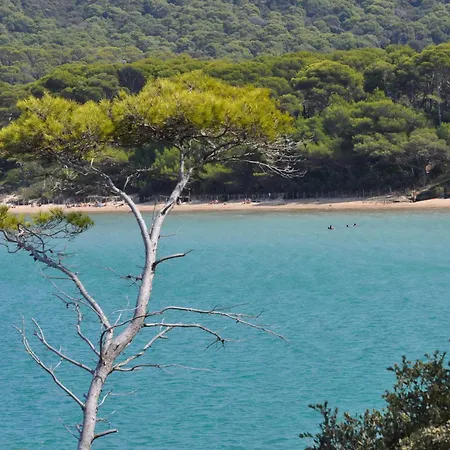 Bel Bleu A La Plage Pour 4 Personnes *
