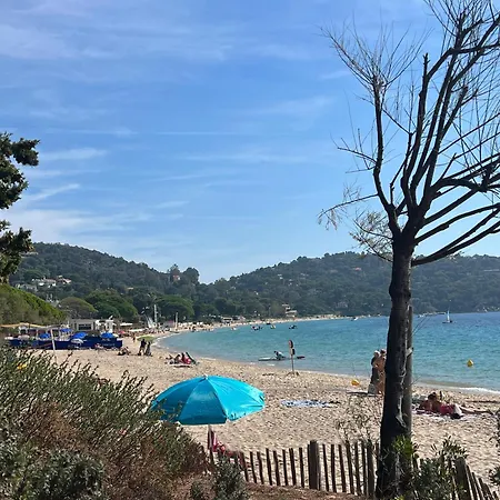 Apartment Bel Bleu A La Plage Pour 4 Personnes *